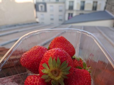 Sony Xperia XZ2 Compact Test and Review