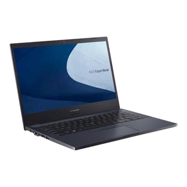 Asus ExpertBook P2451 Details & Overview
